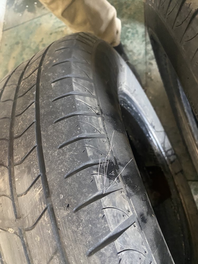 Bee Tires | NeoTires