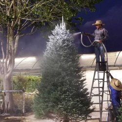 Madison Gardens Nursery 73 Photos Nurseries Gardening 7644 Photo Of Madison Gardens Nursery Spring Tx United States Get Your Christmas