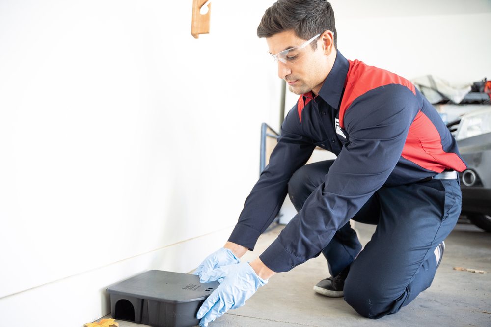 Fox Pest Control - Corpus Christi