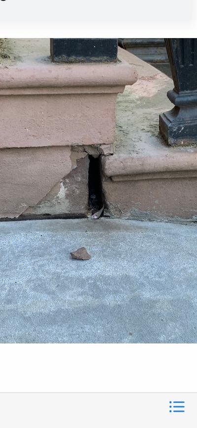 City Express Exterminating
