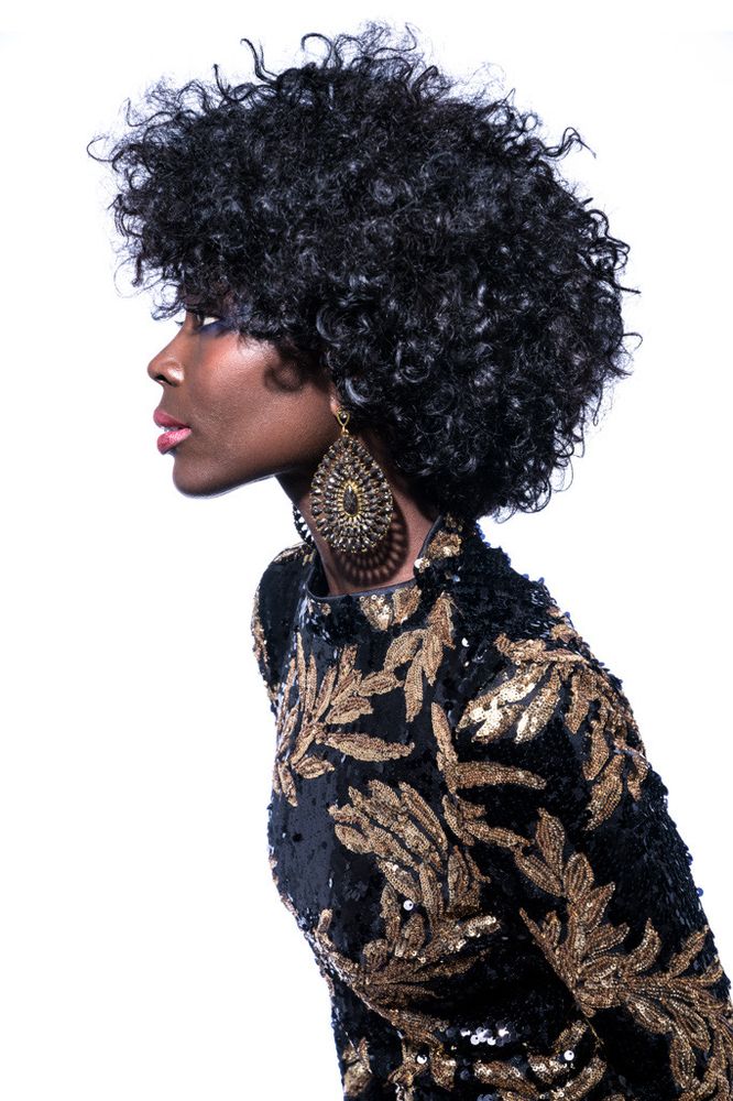 Seth Steven Studio