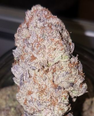 Miracle Meds Dispensary