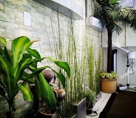 Orchid Spa
