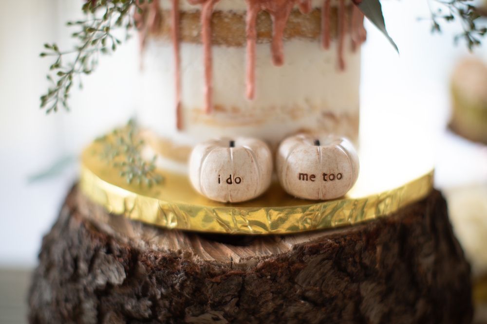 Candy and Confections by Lisa Stoudt