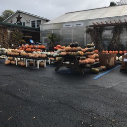 King S Gardens Garden Center Nurseries Gardening 4560 Photo Of King S Gardens Garden Center Lexington Ky United States Lots
