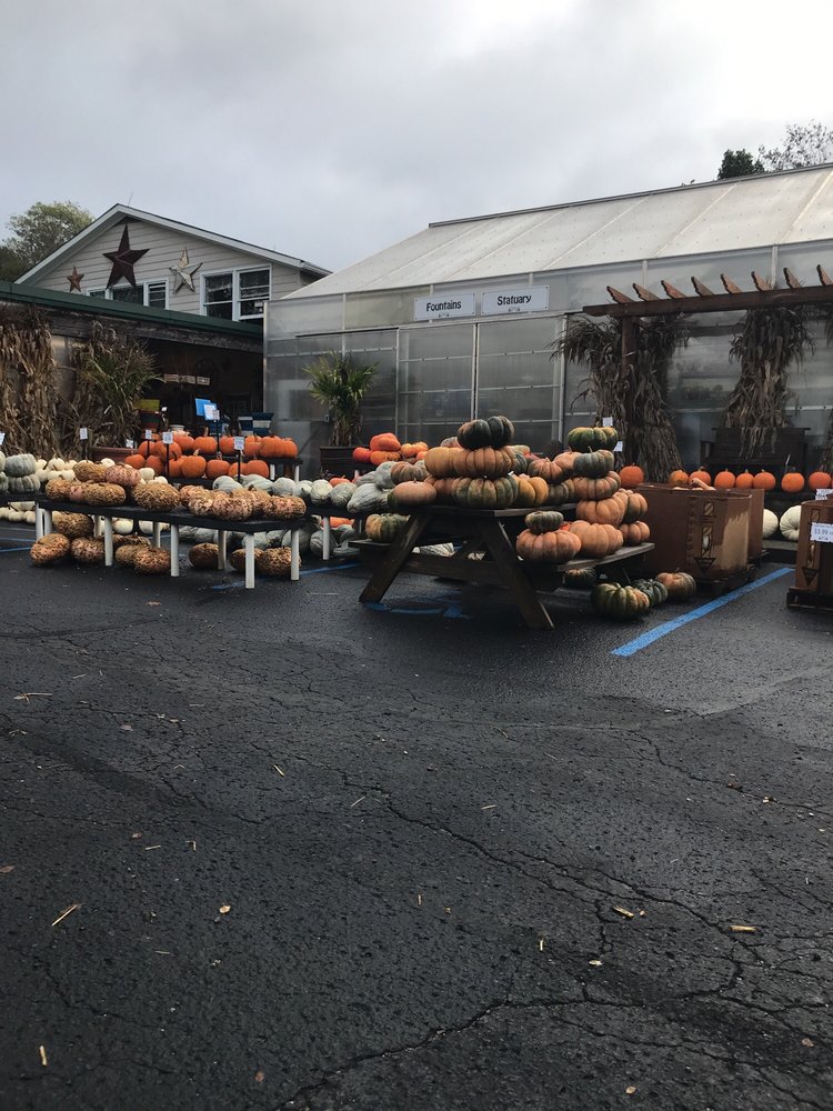 King’s Gardens Garden Center Nurseries & Gardening 4560