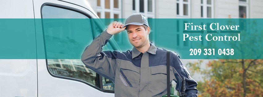 First Clover Pest Control