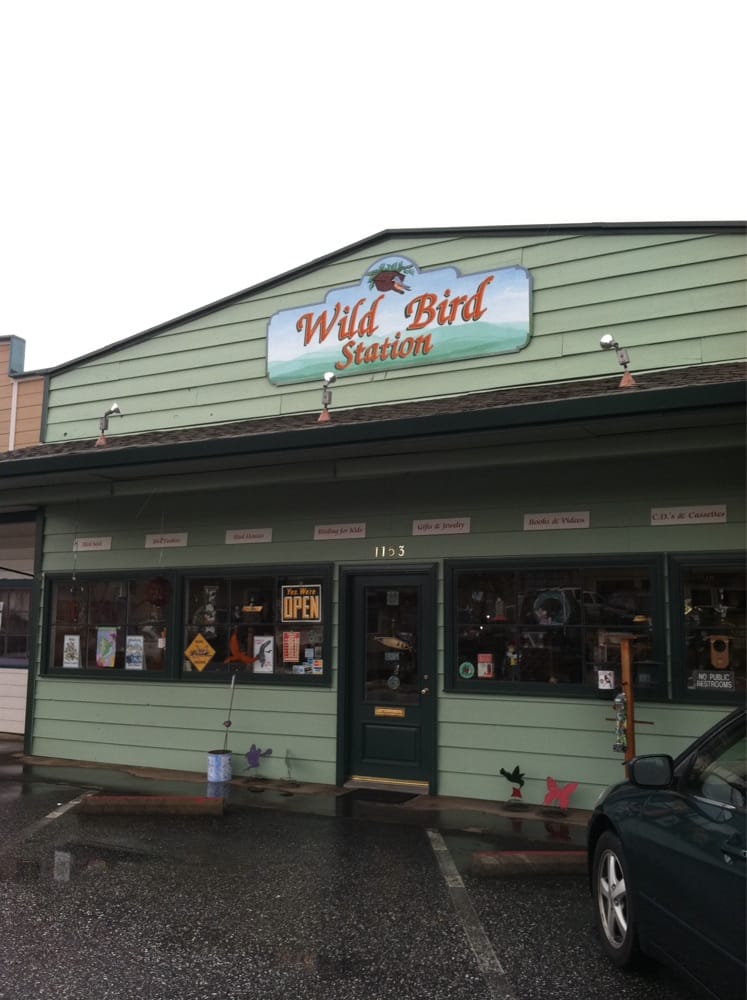wild bird station 11 reviews pet stores 1153 grass wild bird station 11 reviews pet stores 1153 grass