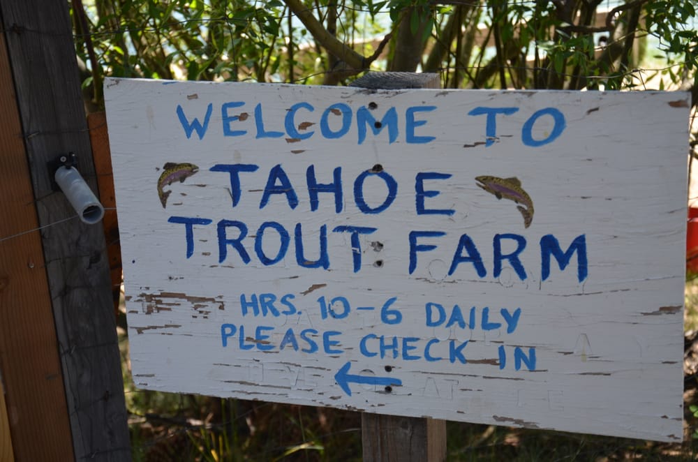 Tahoe Trout Farm 144 Photos & 124 Reviews Fishing 1023 Blue Lake