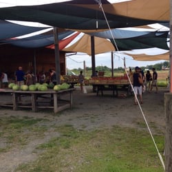 Brossman Farm Stand - 11 Reviews - Farmers Market - 14740 James Monroe