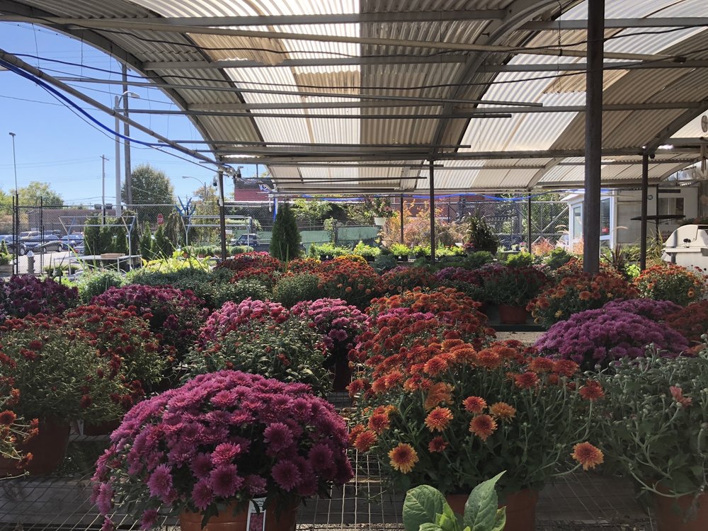 Walter Knoll Florist