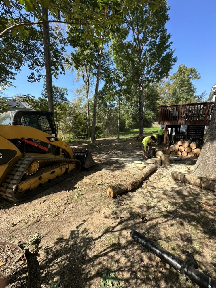 Green Leaves Tree Care