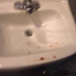 Bathroom Sinks Louisville Ky cahoots - closed - 30 reviews - pubs - 1047 bardstown rd Bathroom Sinks Louisville Ky cahoots - closed - 30 reviews - pubs - 1047 bardstown rd