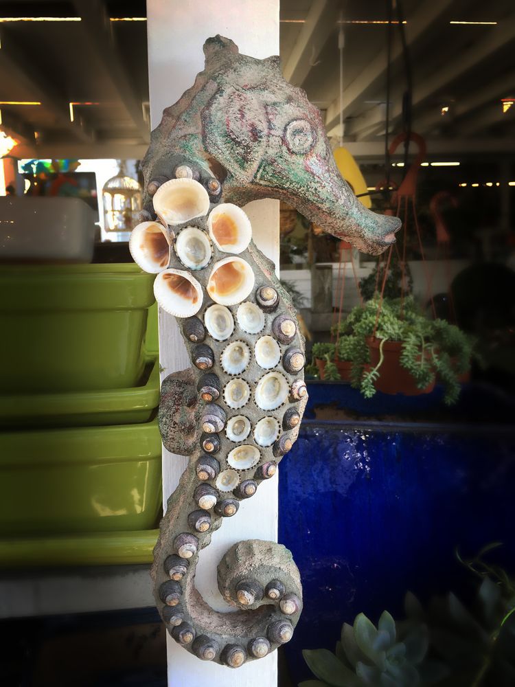 Laguna Coast Pottery 28 Photos Nurseries & Gardening 392 N