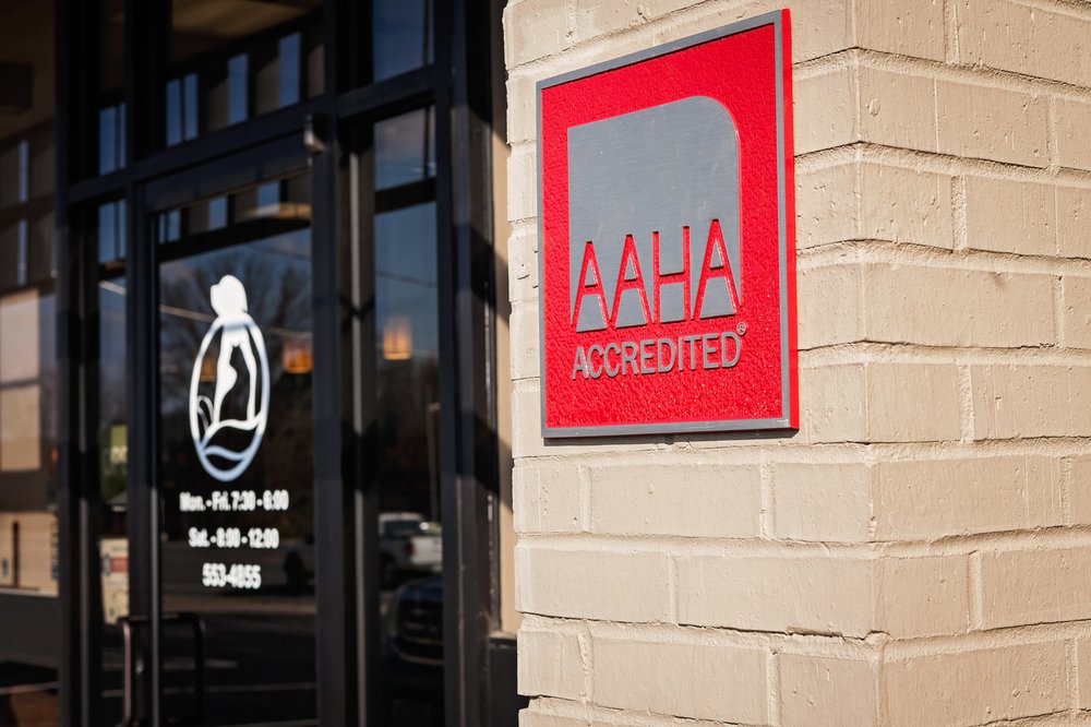 Avenue Animal Hospital 16 Photos Veterinarians 1725 N Mount