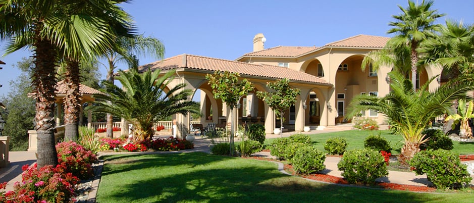 Siesta Key Landscape