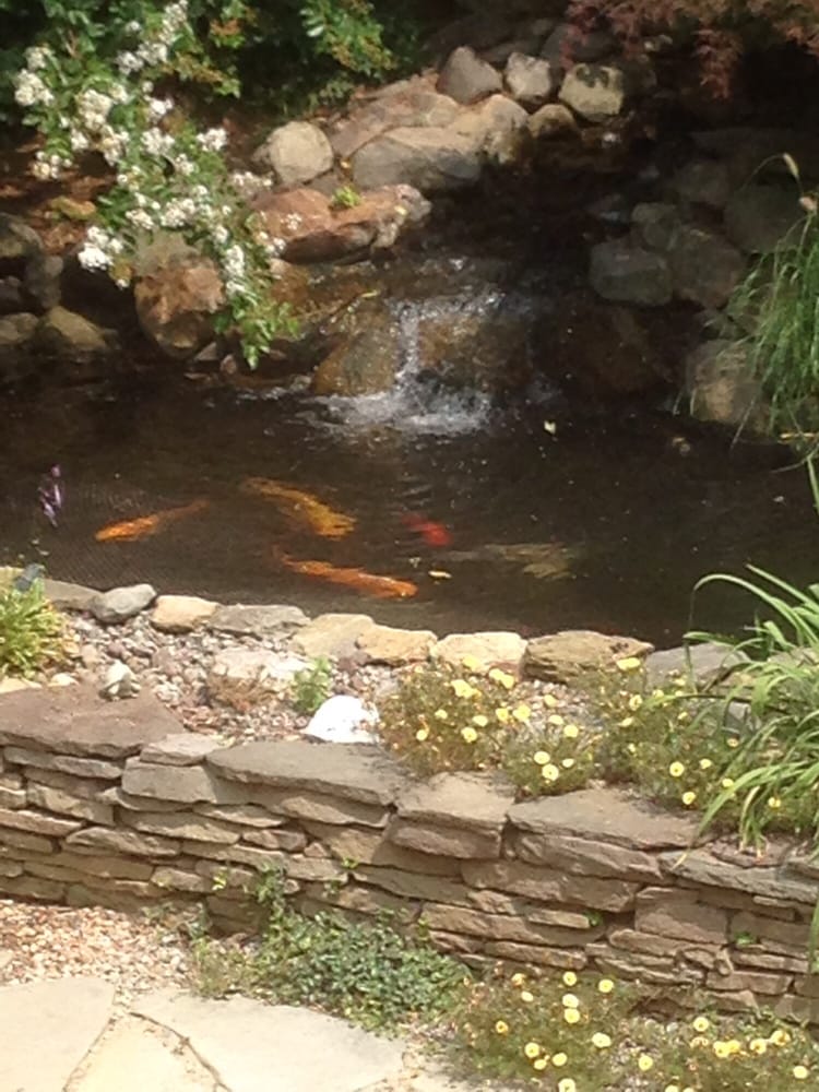 Meadows Farms Nurseries - Leesburg