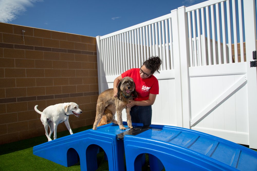 camp bow wow headquarters