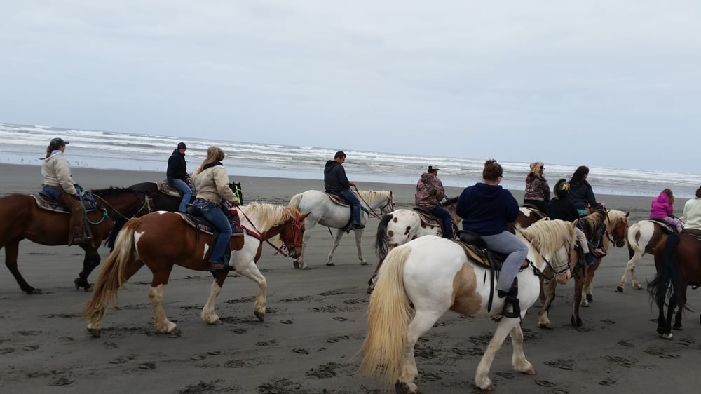 Chenois Creek Horse Rentals 27 Photos & 34 Reviews Horseback Riding