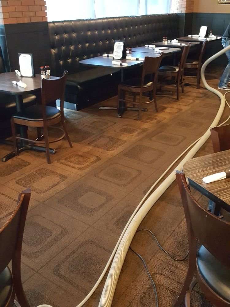 A Better Carpet Cleaner Request a Quote Carpet