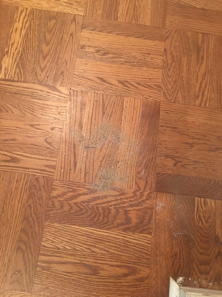 A Step Above Cleaning Services