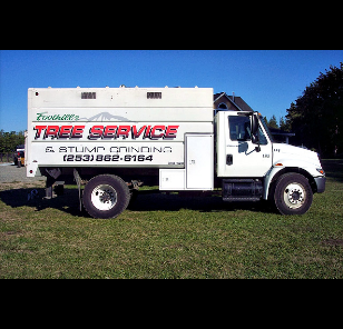 Foothills Stump Grinding & Tree Service