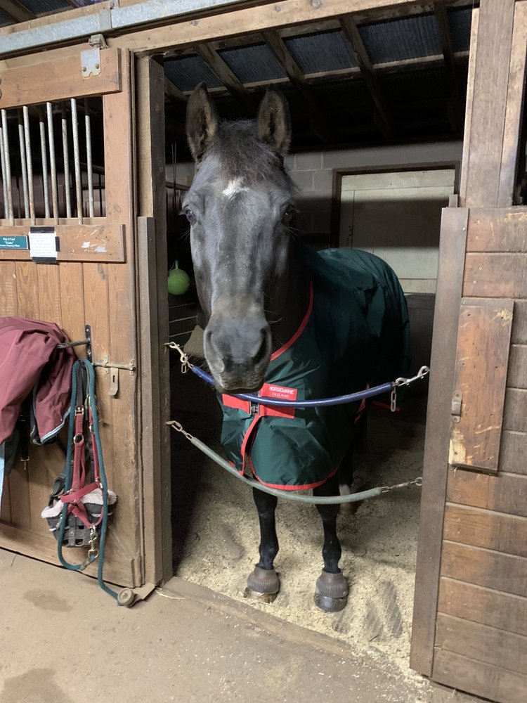 Aldie Equestrian Center