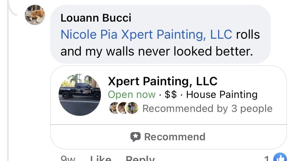Xpert Painting