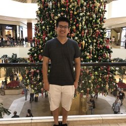 No thyroid problem but cant lose weight image 6
