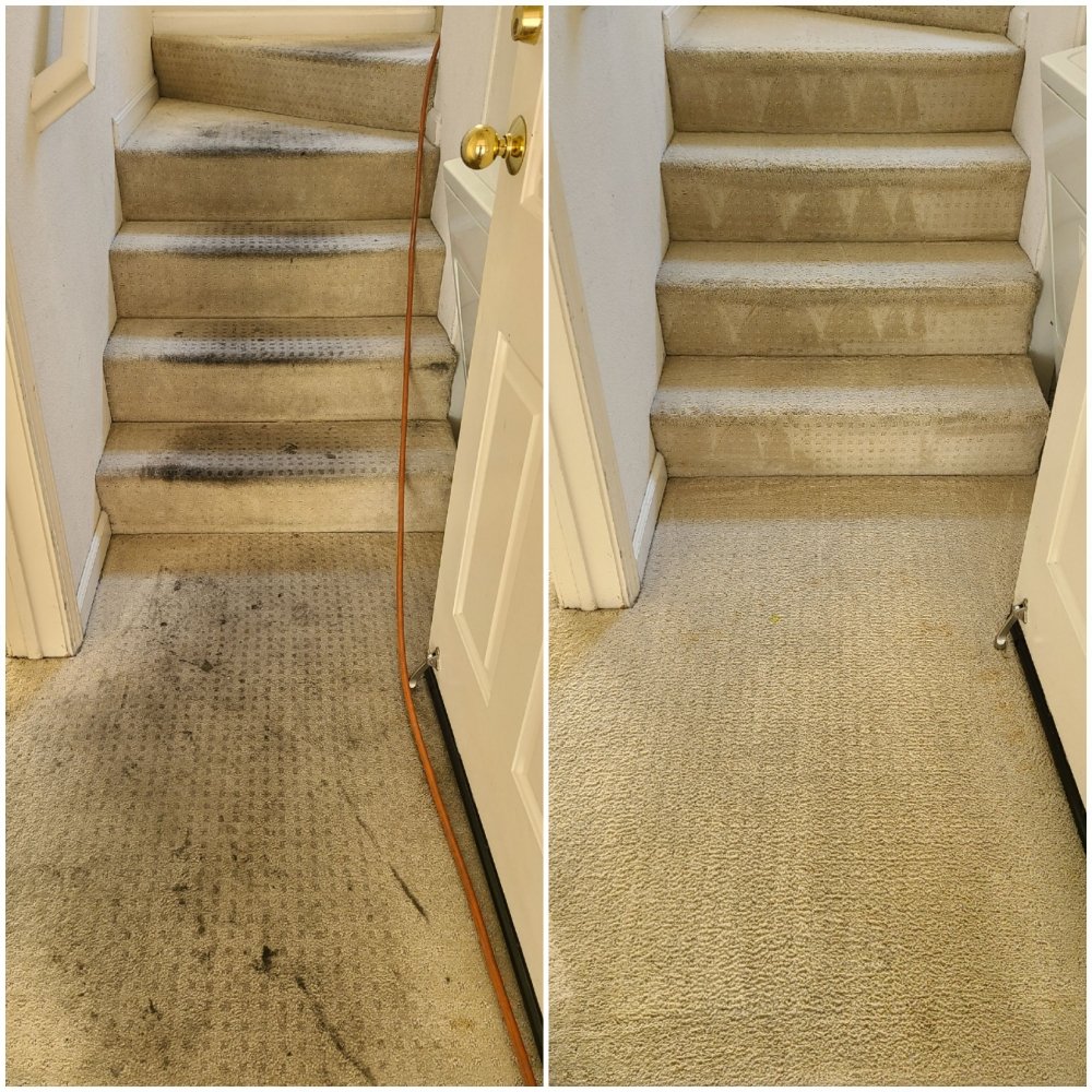 Elite Carpet Care