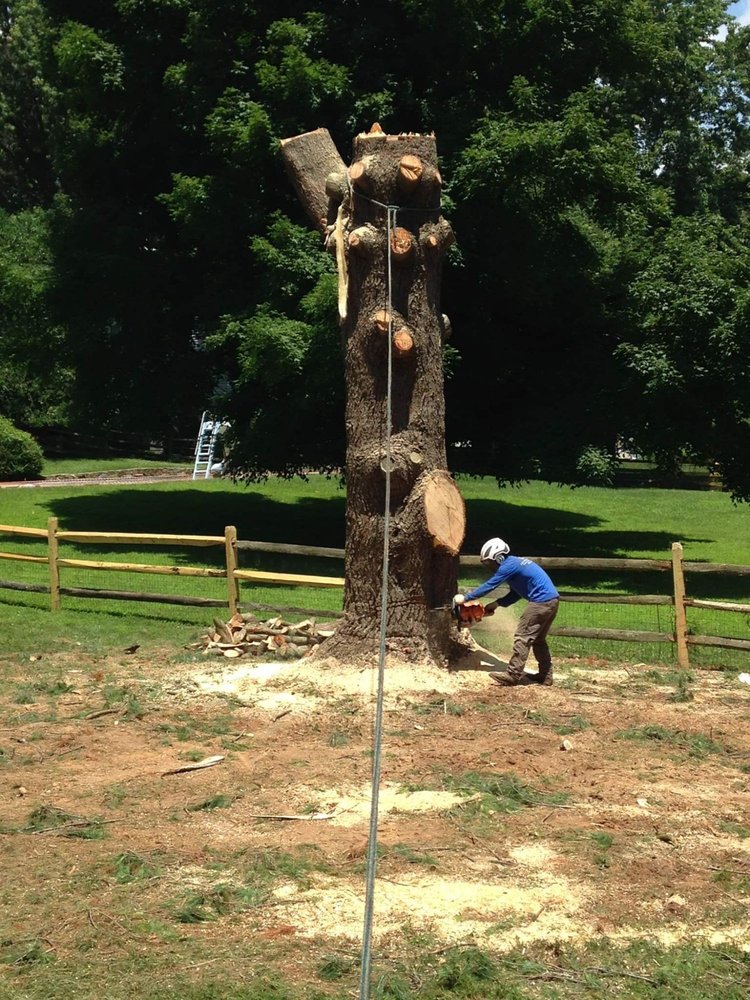 J & B Tree Services