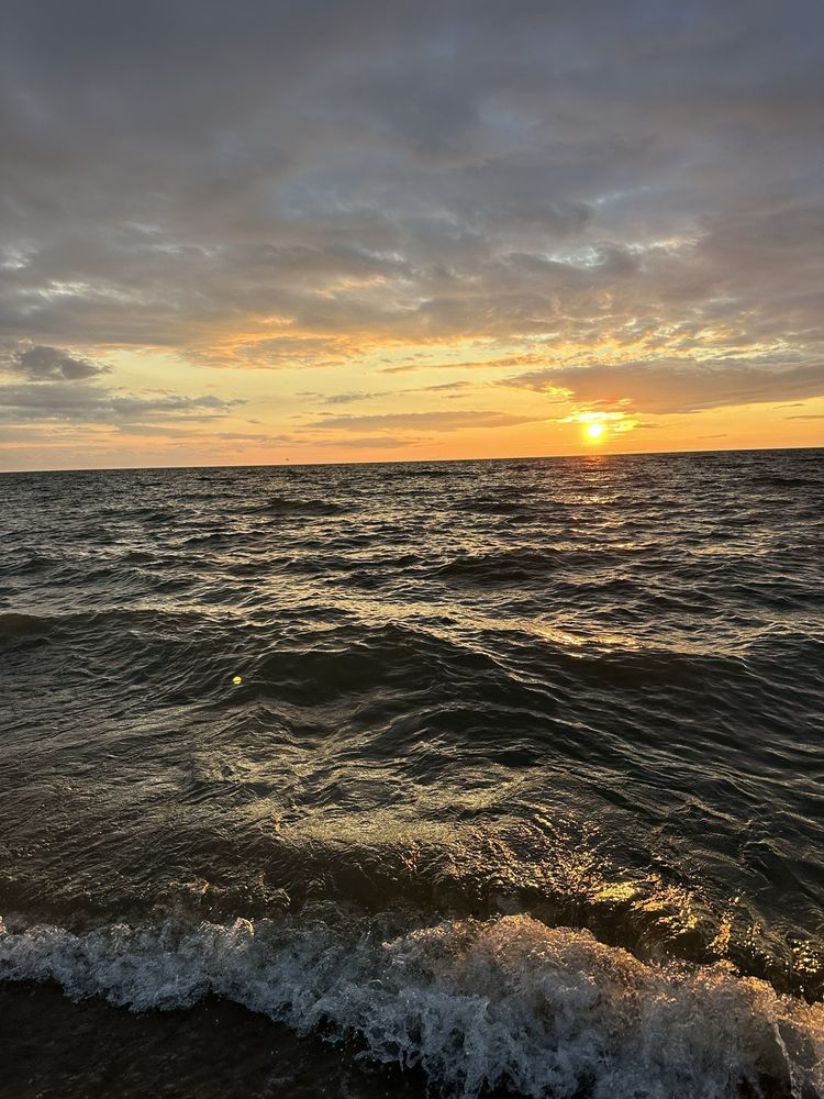 Warren Dunes State Park Image