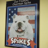 spike s junkyard dogs spike s junkyard dogs 34 photos 19 reviews dogs 1623 warwick ave spike s junkyard dogs spike s junkyard dogs 34 photos 19 reviews dogs 1623 warwick ave