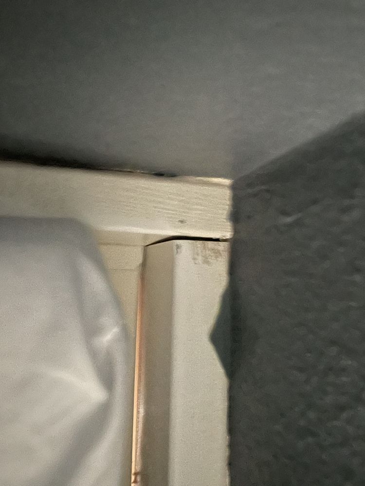 Curb Appeal Painting Company