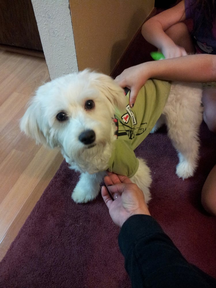 Lisa’s Pet Pawlor 16 Photos & 20 Reviews Pet Boarding/Pet Sitting