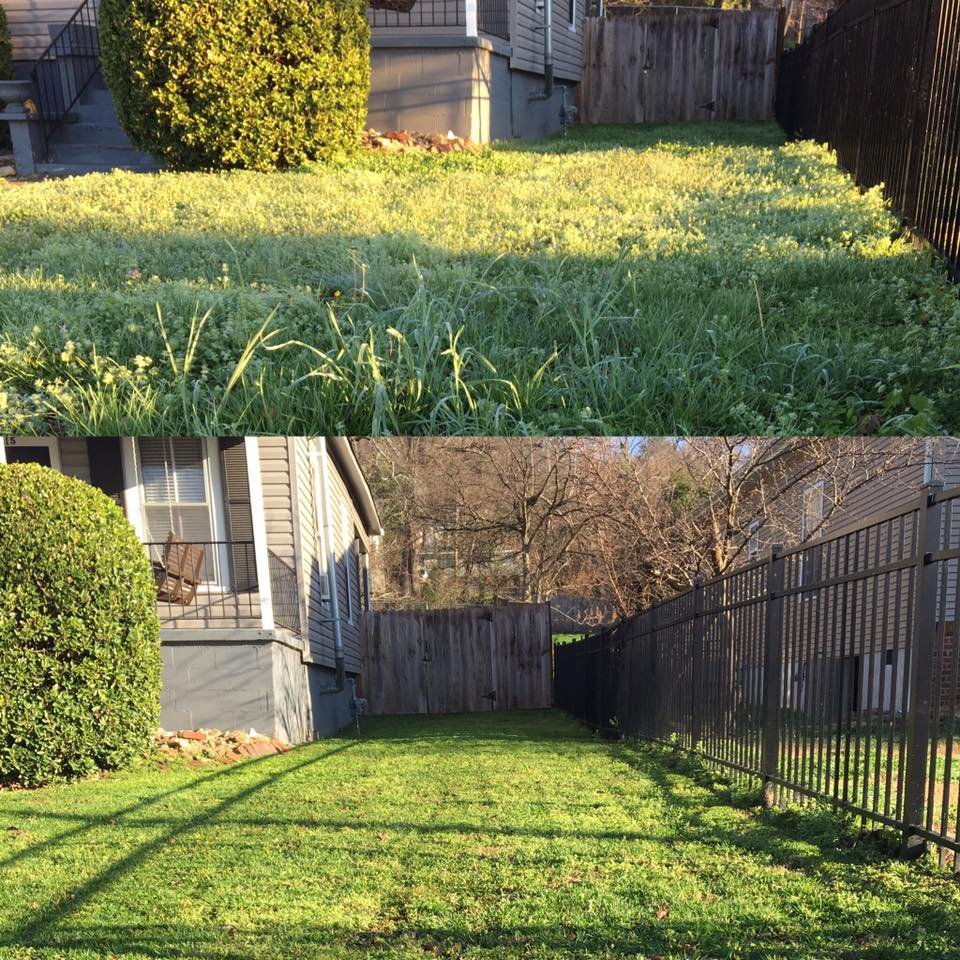 Yard Dogs Landscaping and Lawn Care