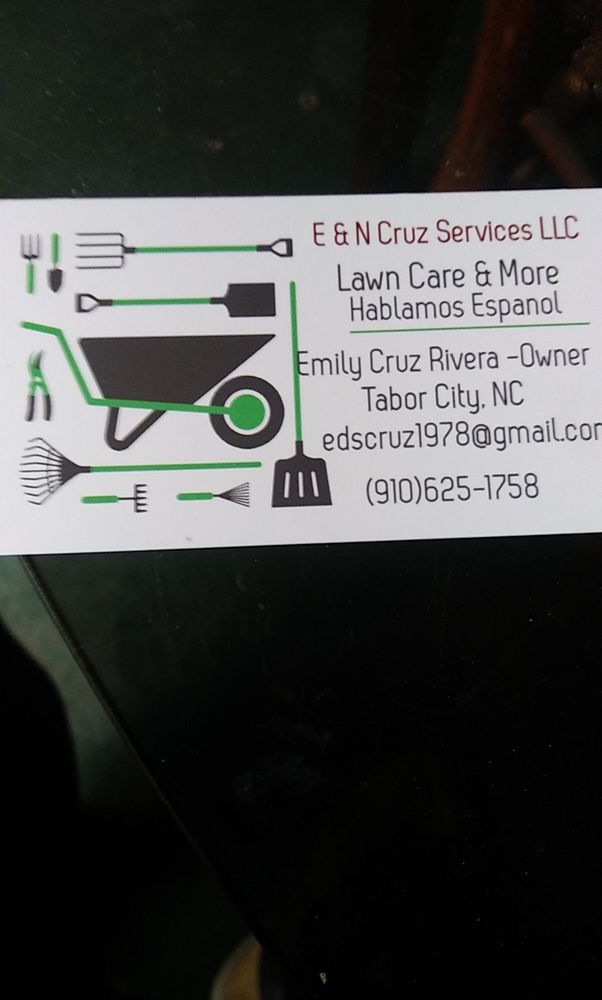 E & N Cruz Services