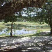 Idea Nudist resort pierson really Congratulate, Nudist resort pierson can recommend