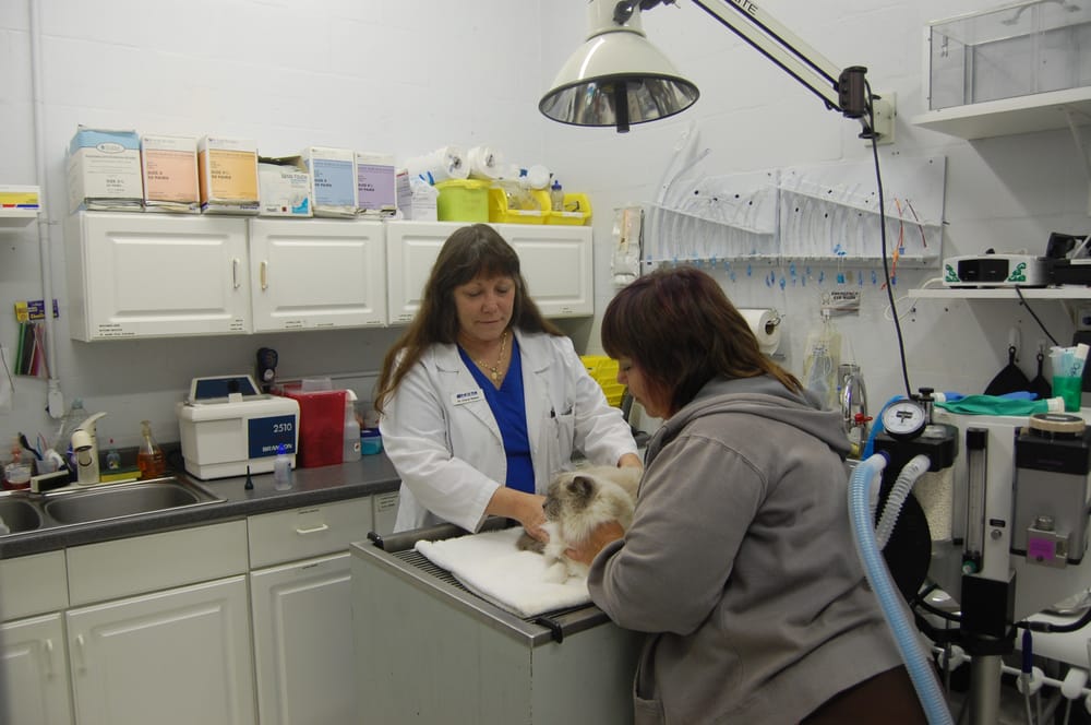 Newman veterinary center coupons