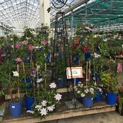 Peti Garden Centers 18 Photos 10 Reviews Home Displays For Summer Photo Of Peti Garden Centers Avon Oh United States