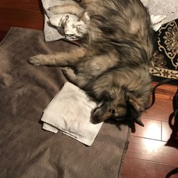 Access Woodland Hills >> Access Specialty Animal Hospital 105 Photos 477 Reviews Access Woodland Hills >> Access Specialty Animal Hospital 105 Photos 477 Reviews