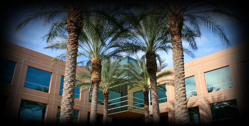 Responsive Property Management