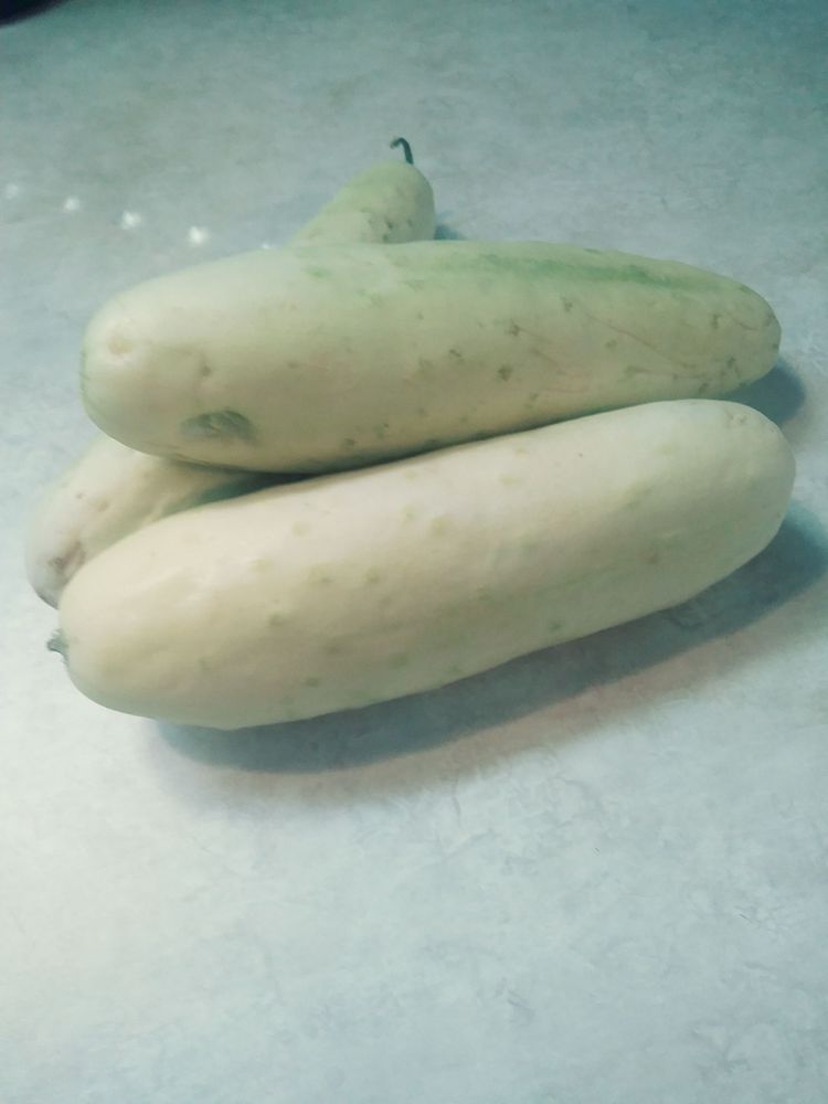 Burton Farms General Store