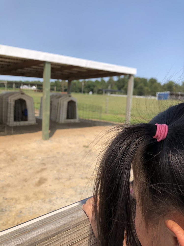 Simply Natural Creamery