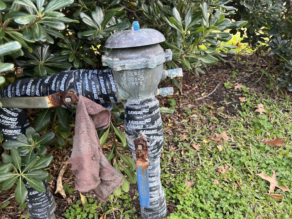 Backflow-Houston
