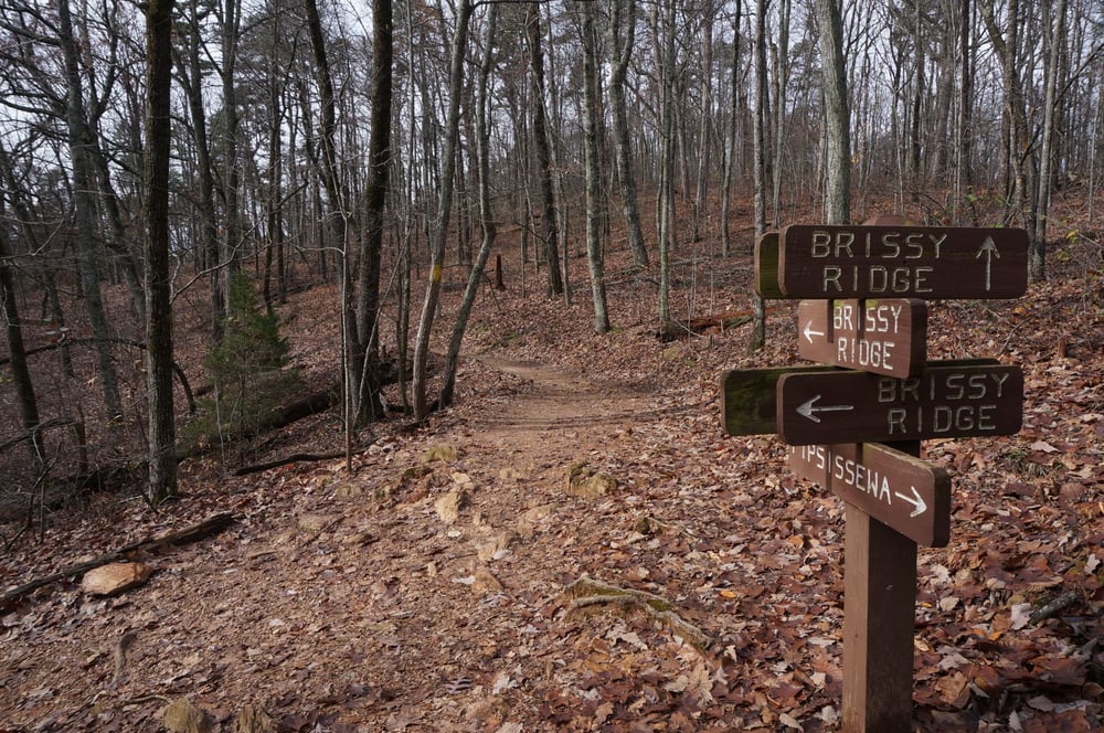 Greenville Craigslist Hookups Replacement Sites Like Craigslist Personals