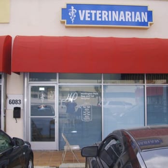 Huntington Park Dog And Cat Hospital Huntington Park Dog And Cat Hospital