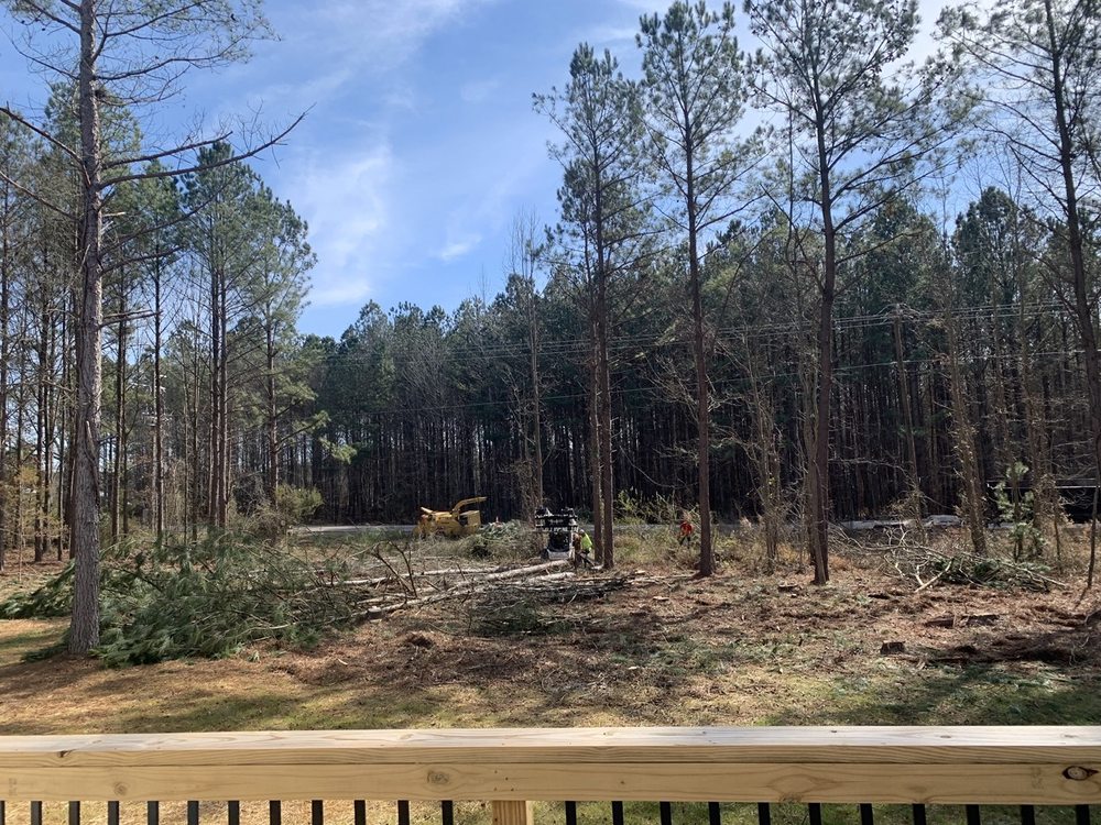 North Carolina Tree Removal