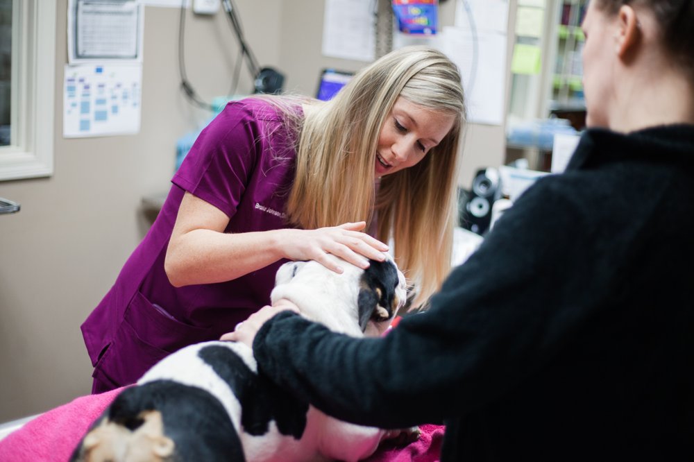 Animal Hospital Of Mebane