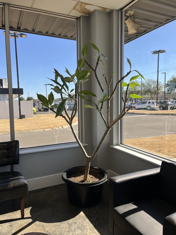 Auto Wholesale Tire & Service